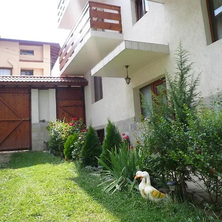 Πανσιόν Guest Vachin 3*