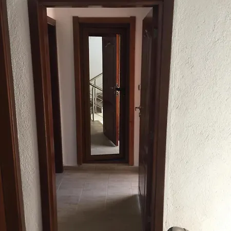 Guest Vachin 3* 반스코